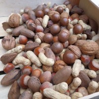 Kleines Nuss Set: 7 Sorten Nüsse in Schale; Roh, ohne Zusätze 900g Kleines Nuss Set: 7 Sorten Nüsse in Schale; Roh, ohne Zusätze 900g