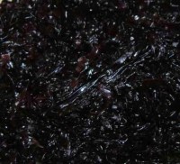 Nori, frische Meeresalge 75g Nori, frische Meeresalge 75g