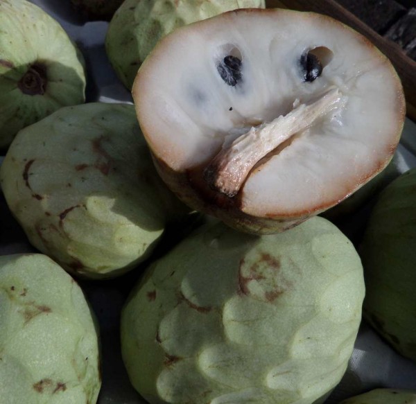 Cherimoya aus Spanien, Bio, Stück