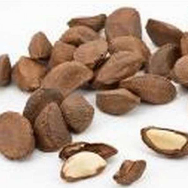 Paranüsse in Schale, 250g, Bio roh, ohne Zusätze