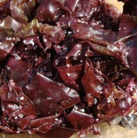Dulse frische Meeresalge 75g Dulse frische Meeresalge 75g