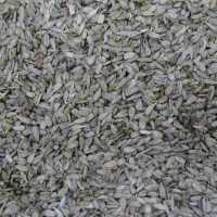 Sonnenblumenkerne 250g, angekeimt, 40°C getrocknet Sonnenblumenkerne 250g, angekeimt, 40°C getrocknet