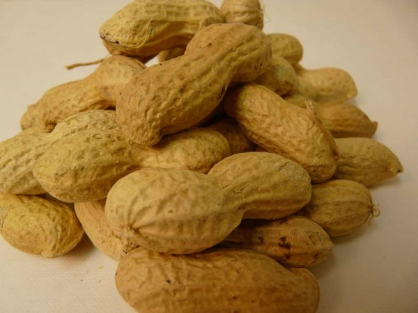 Bio Erdnüsse in d Schale, Roh, ungeröstet ungesalzen, 500g