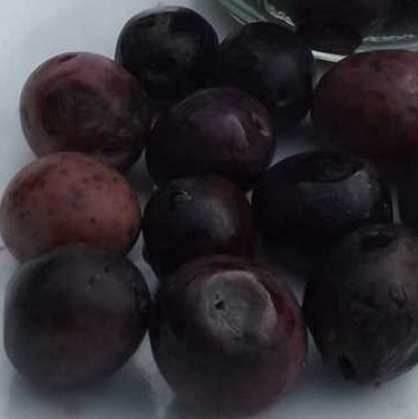 span schwarze Oliven, Bio roh, lose, in Lake mit wenig Himalayasalz 200g