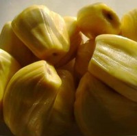 Jackfrucht, geschälte Herzen 250g Jackfrucht, geschälte Herzen 250g