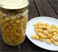 Altramuces, Tremocos, weisse Süßlupine in Lake 250g Altramuces, Tremocos, weisse Süßlupine in Lake 250g